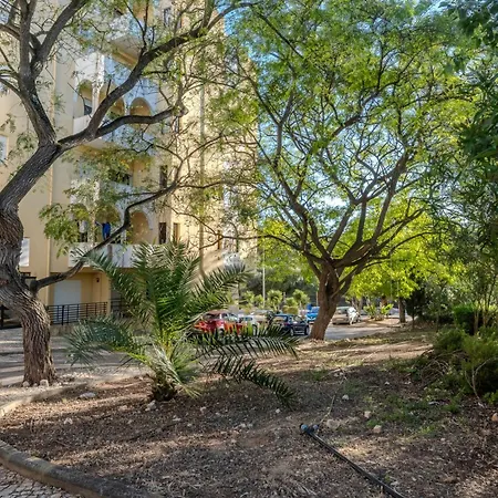 Lejlighed Casa Rocha With Terrace *